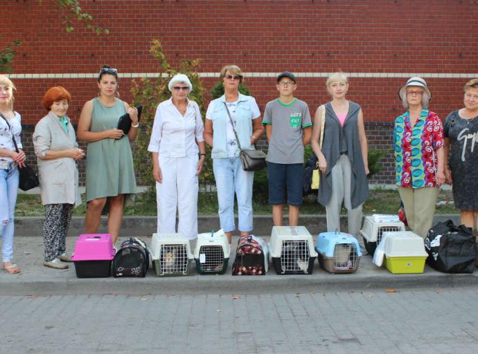 В ответе за тех, кого приручили