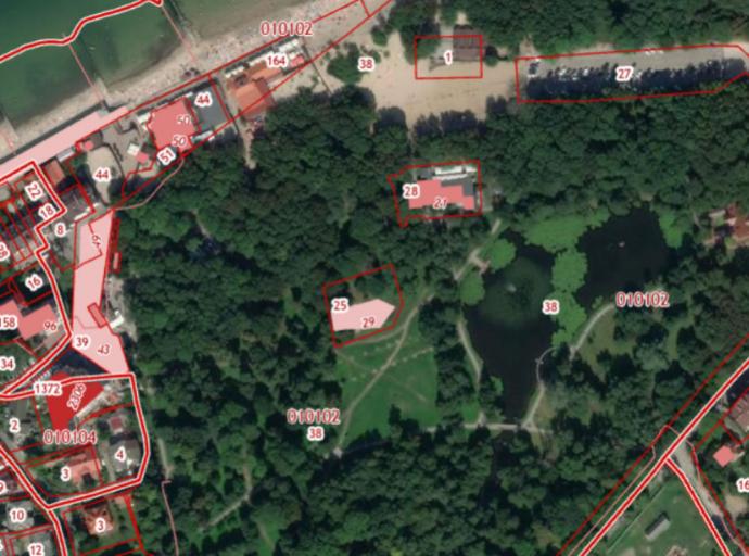 Что происходит в городском парке?