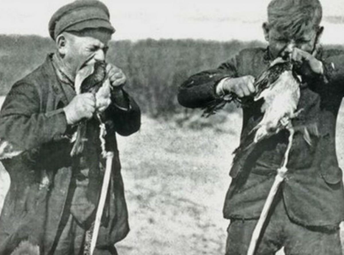 «Птичьи уловки»