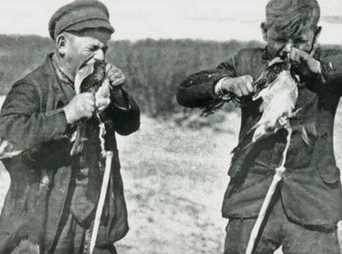 «Птичьи уловки»
