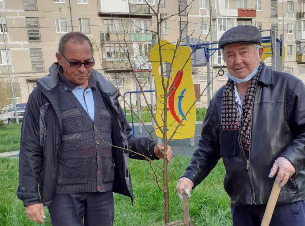 Ветераны посадили липы