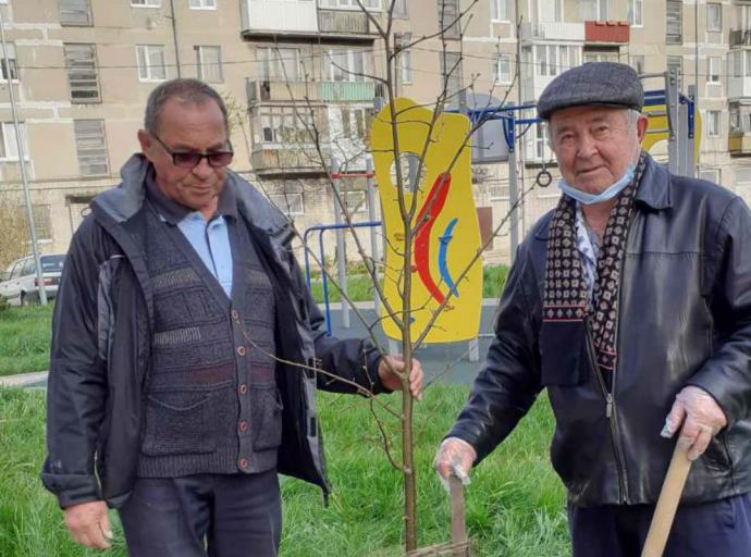 Ветераны посадили липы 