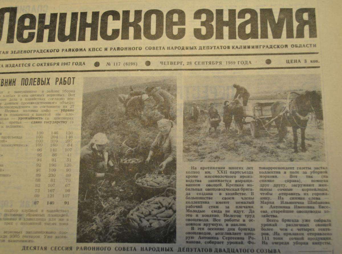 Дневник полевых работ