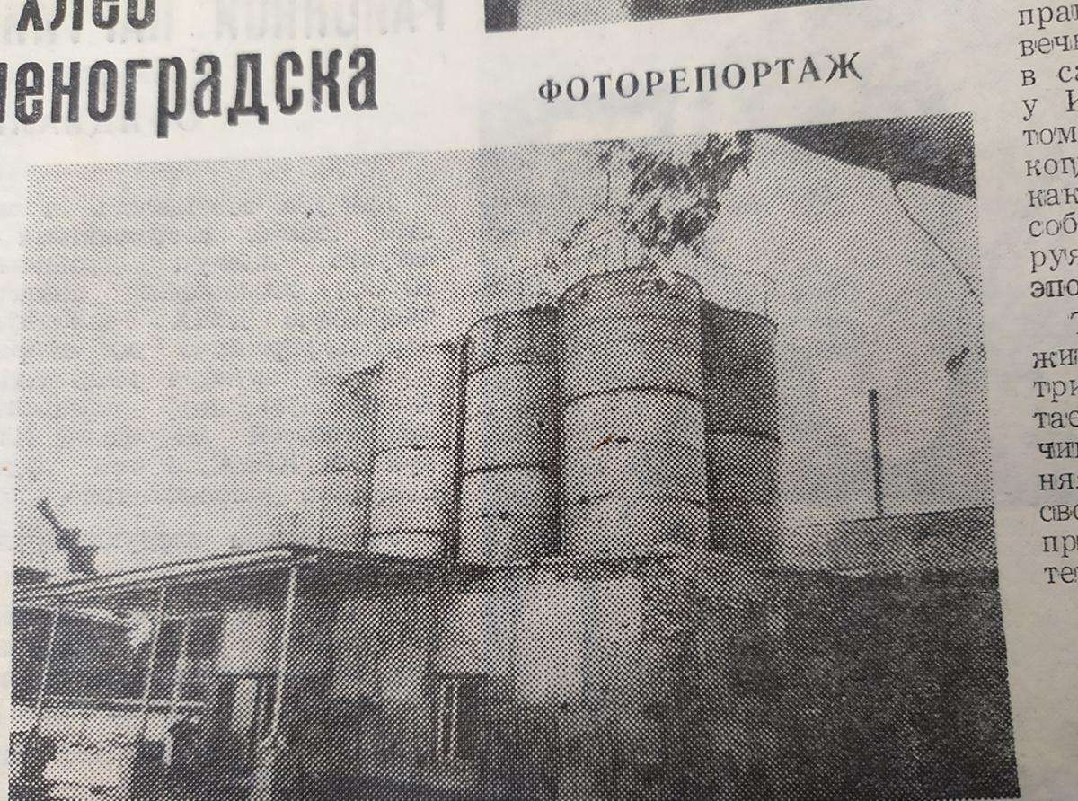 Былая гордость Зеленоградска