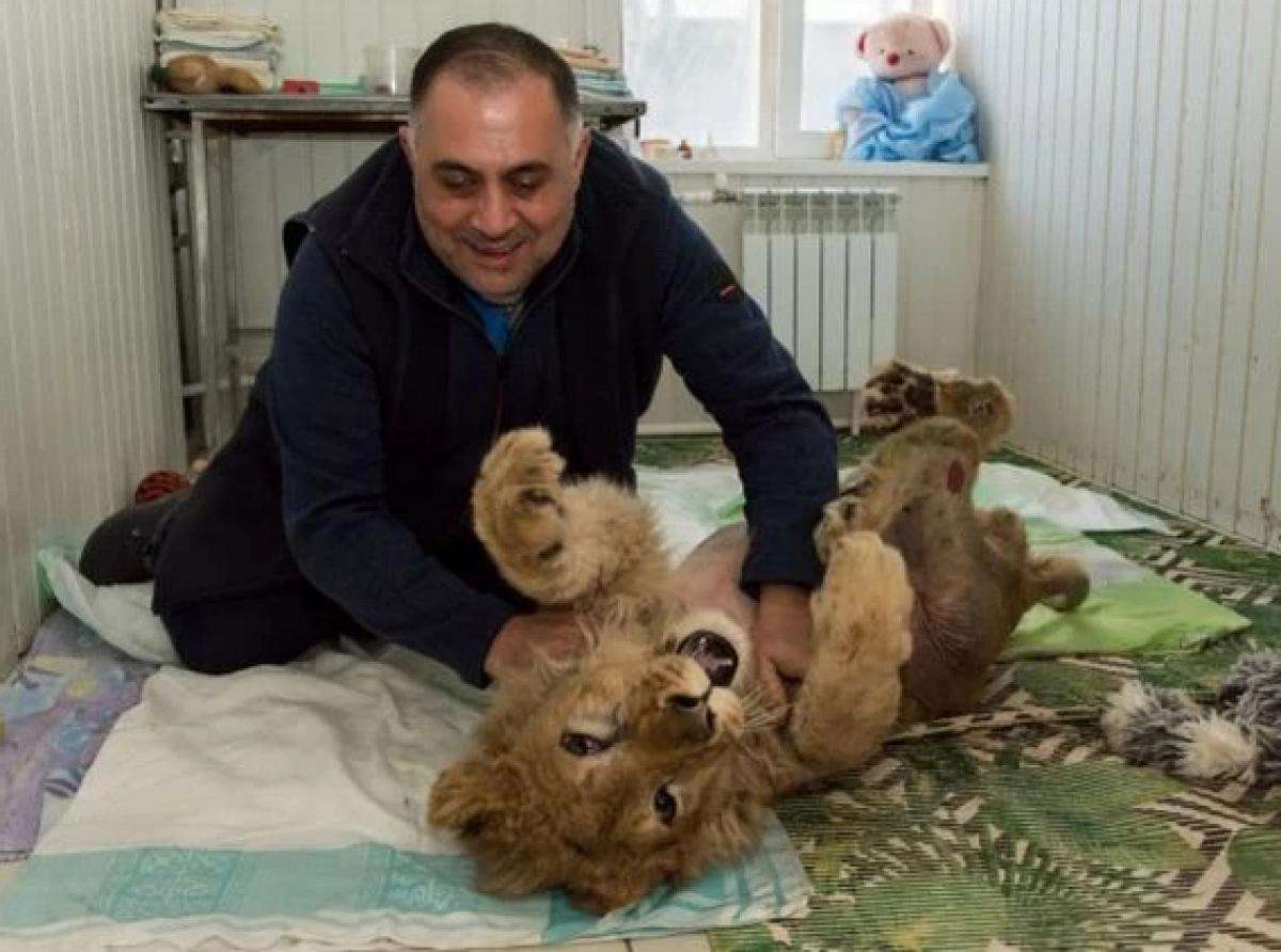 #Симбалетитдомой
