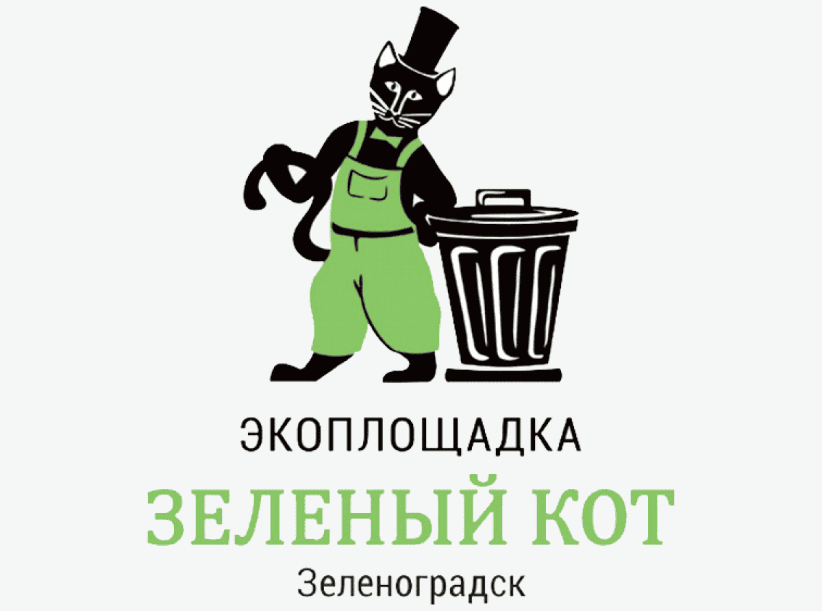 Сдай ёлку «Зелёному коту»!