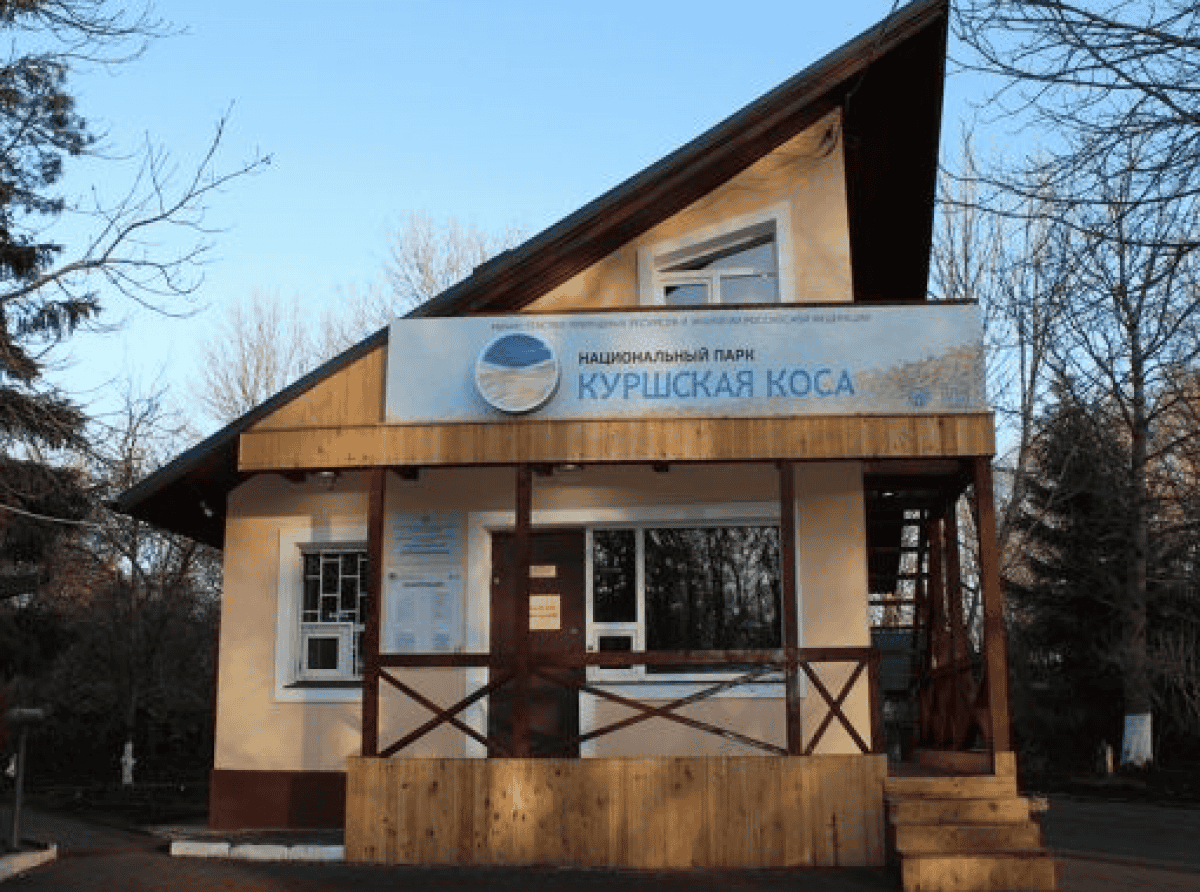 Льготникам — бесплатно