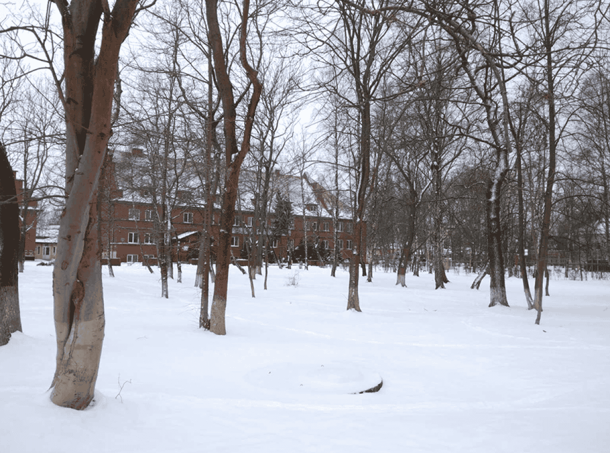 Новый парк и пляж для особых людей