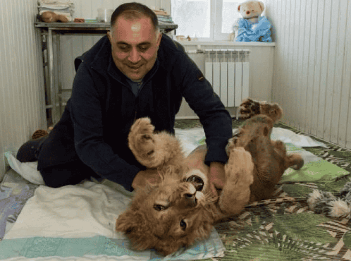 Народный герой «Лохматого Оскара»