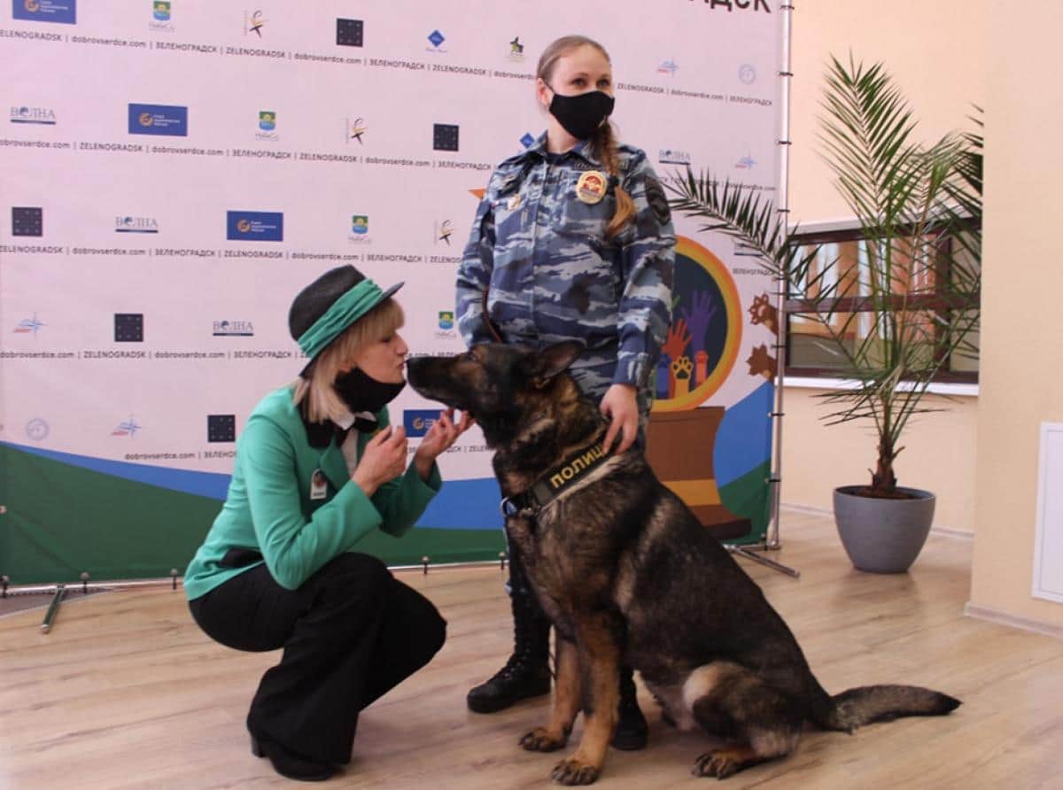 Визитная карточка Зеленоградска
