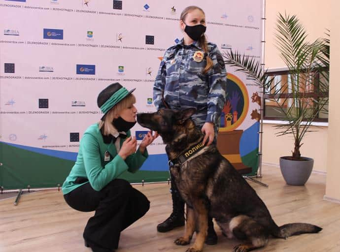 «Мой ласковый и нужный зверь»: церемония награждения 