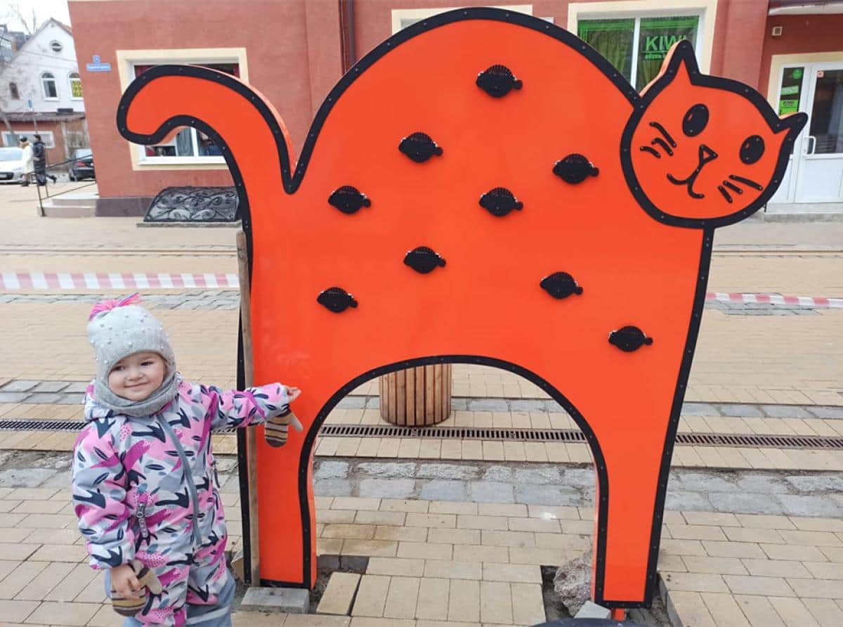 Аврорин Котофей на Курортном проспекте