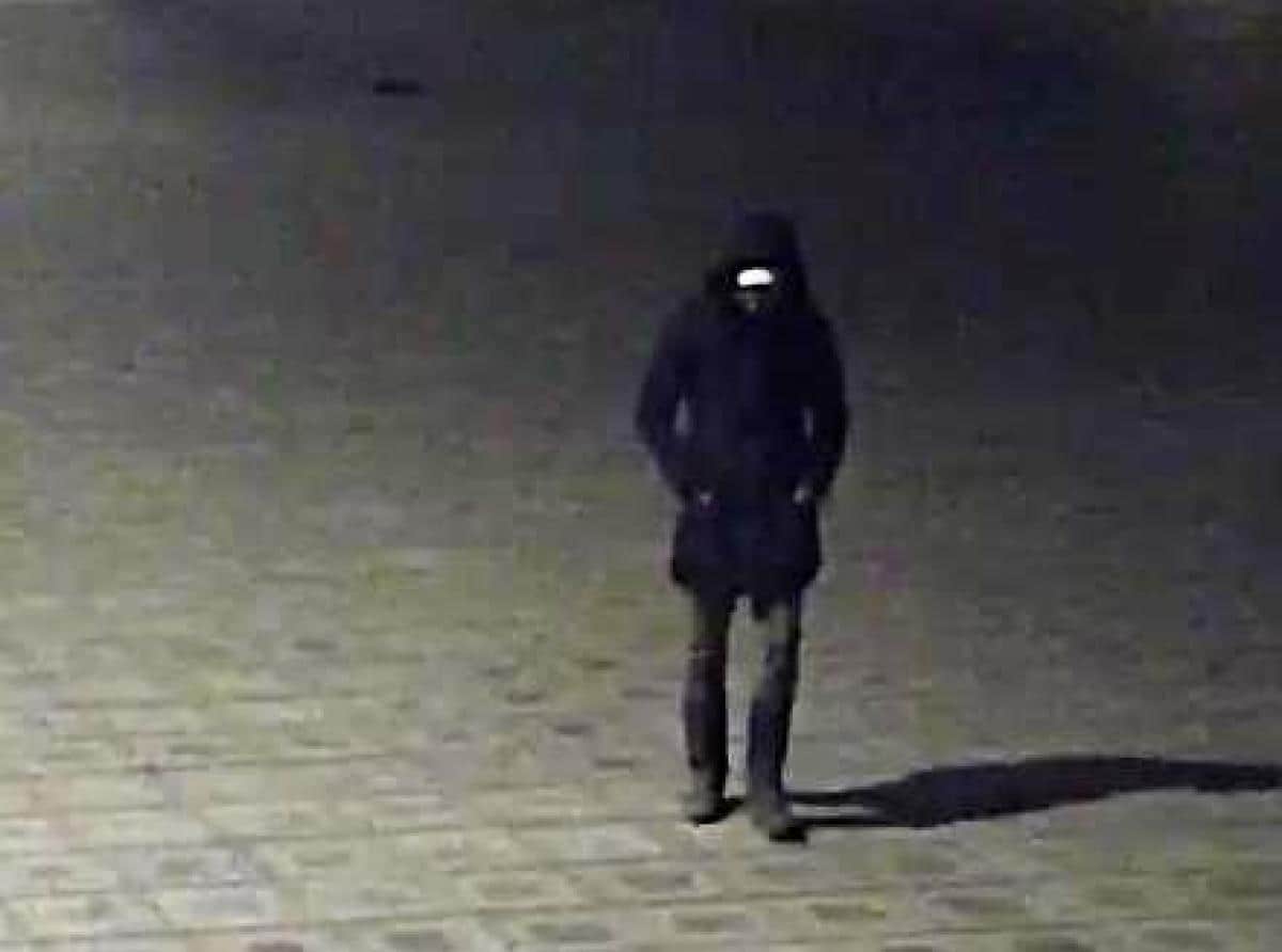 В Зеленоградске нашли похитителя туй