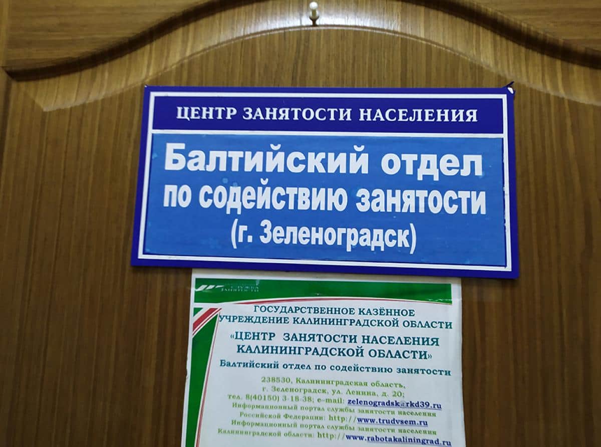 Обучат и трудоустроят