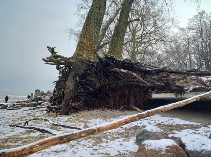 По следам ураганов, или Тройной удар