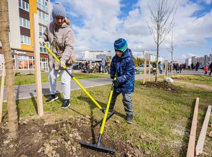В парке планируется высадить деревья