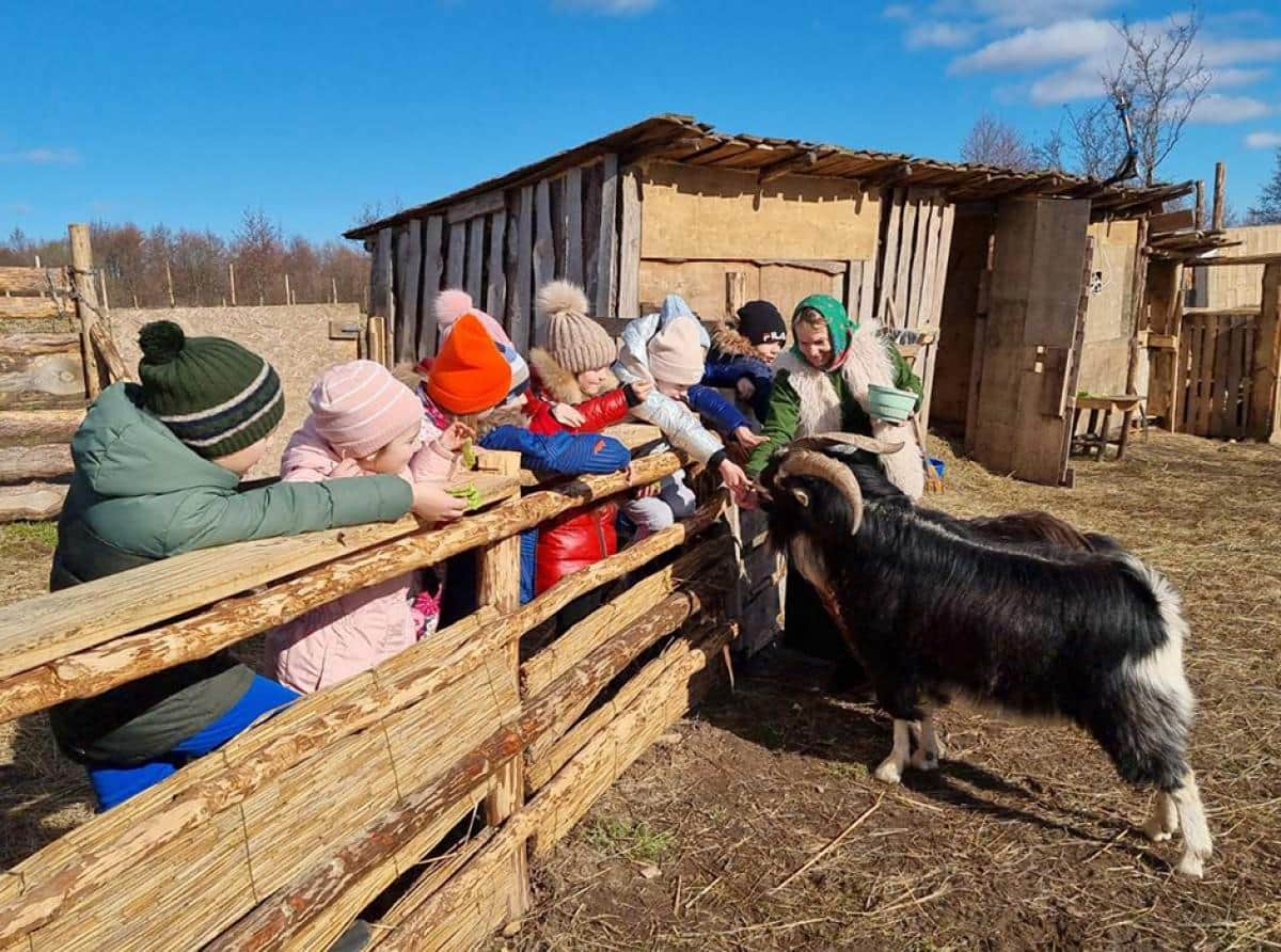 Грант «Агротуризм»