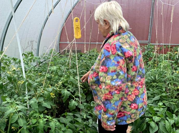 «Подъёмные» для садоводов и огородников