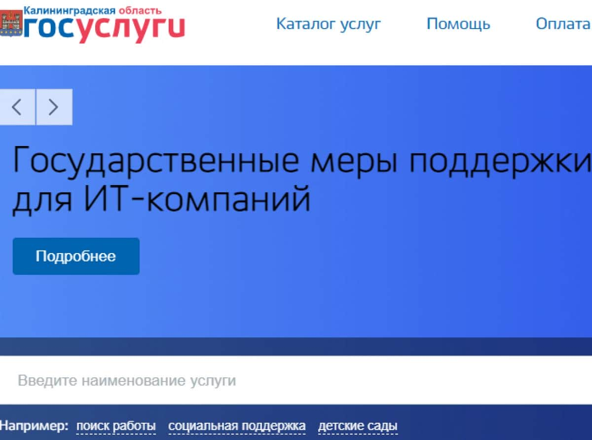 В Калининградской области заработал региональный портал госуслуг