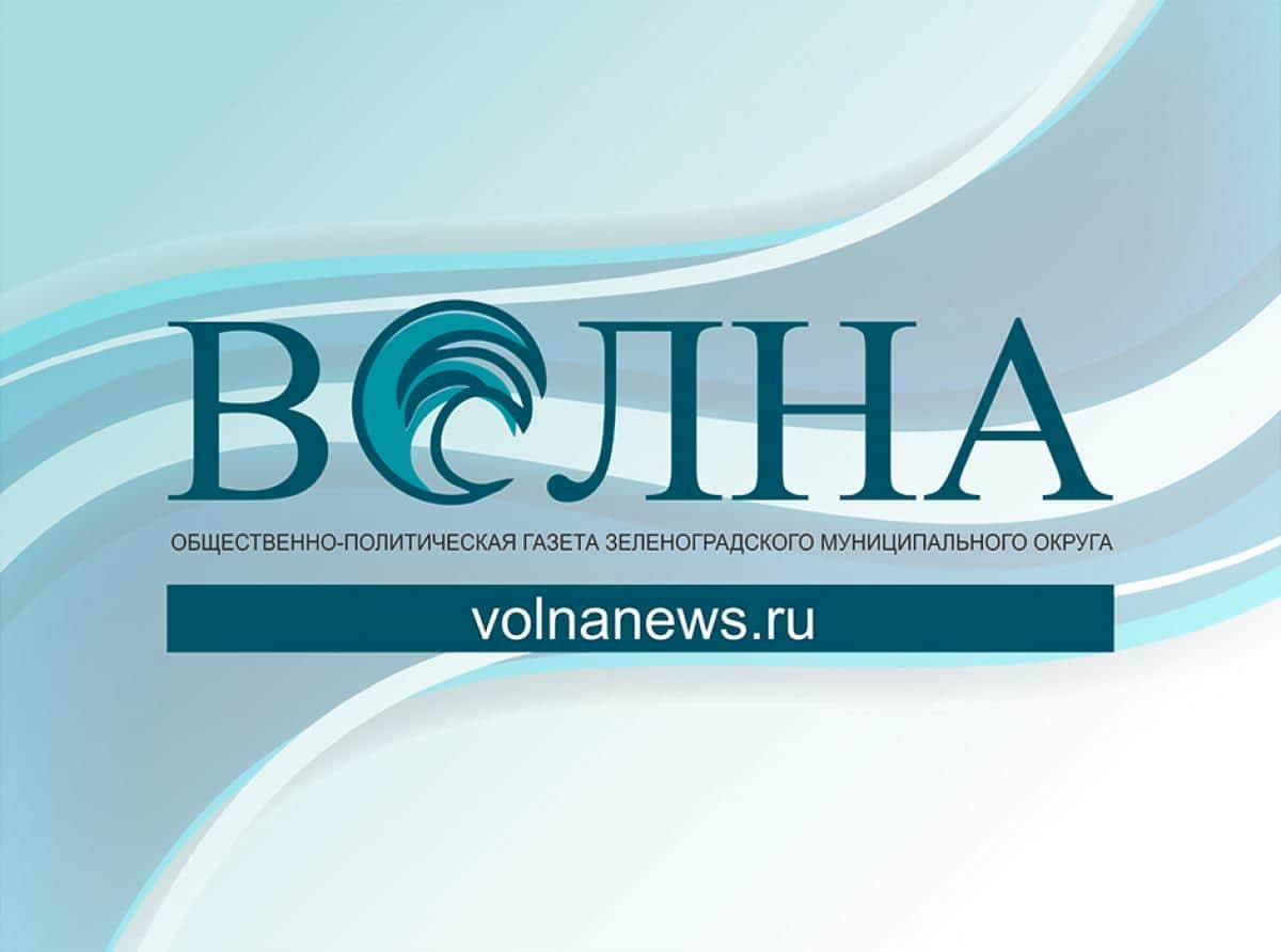 Активисты группы «Благоустройство Зеленоградска» подвели итоги