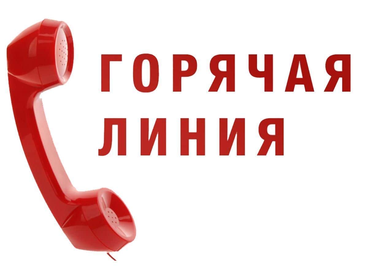 «Горячие линии» по вопросам летнего отдыха