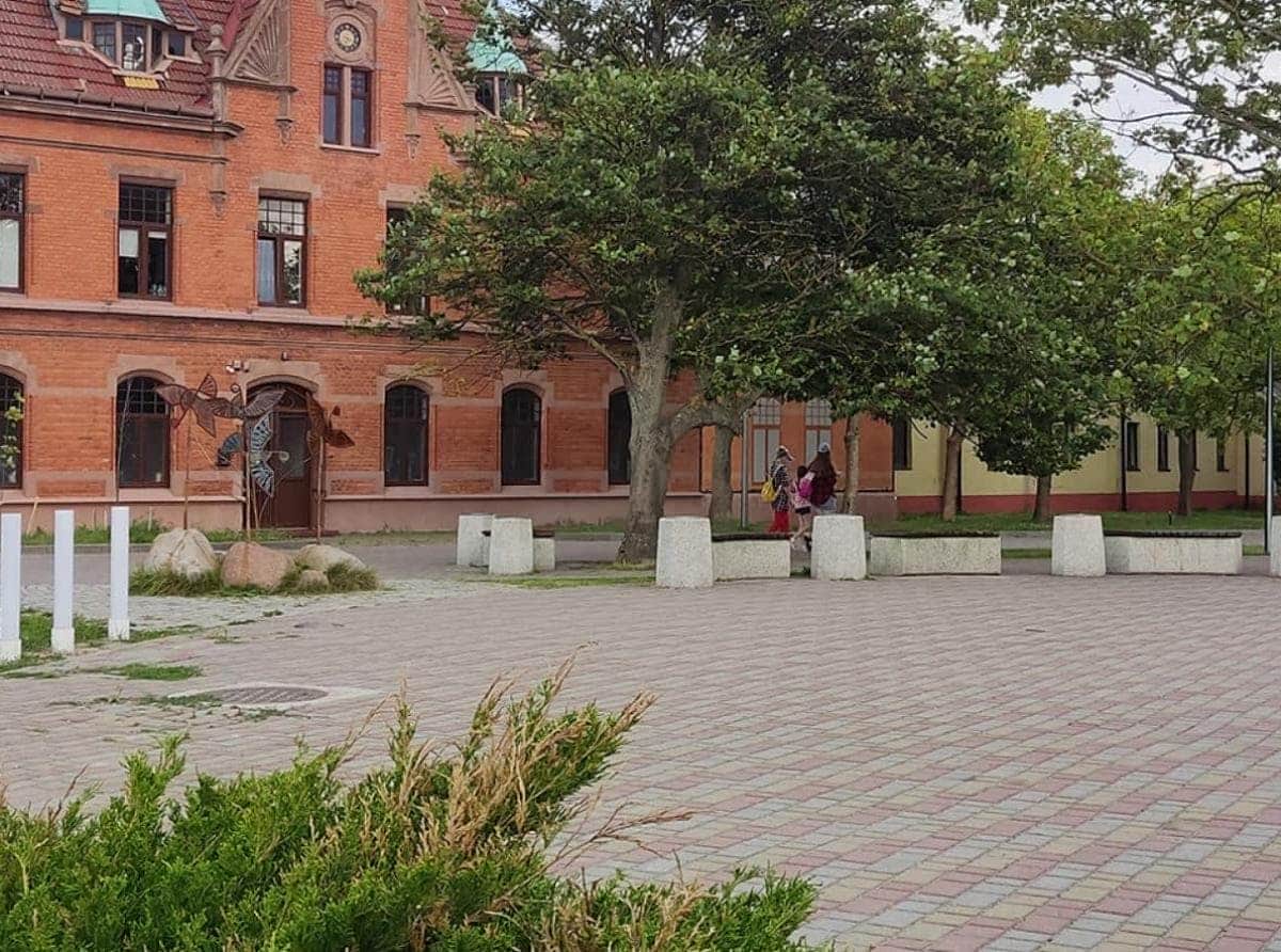 Деревья жалко