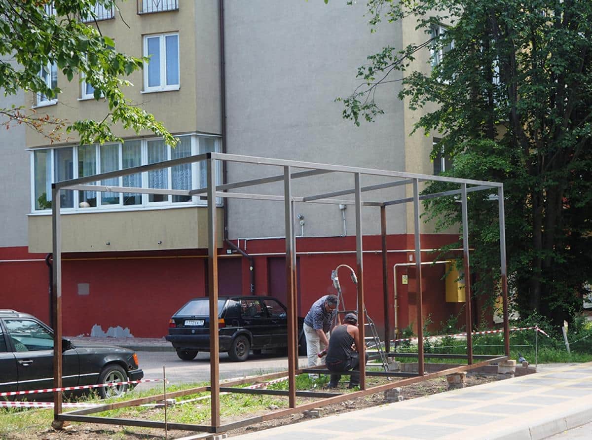 В поисках исчезнувшей бирючины