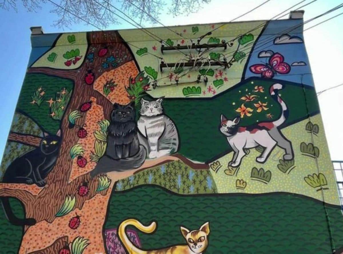Кошачья столица