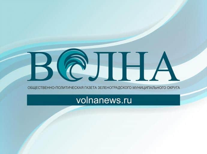 ️В Зеленоградском районе расследуется уголовное дело по факту угрозы убийством