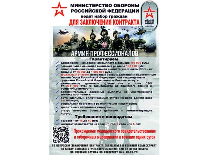 Армия профессионалов