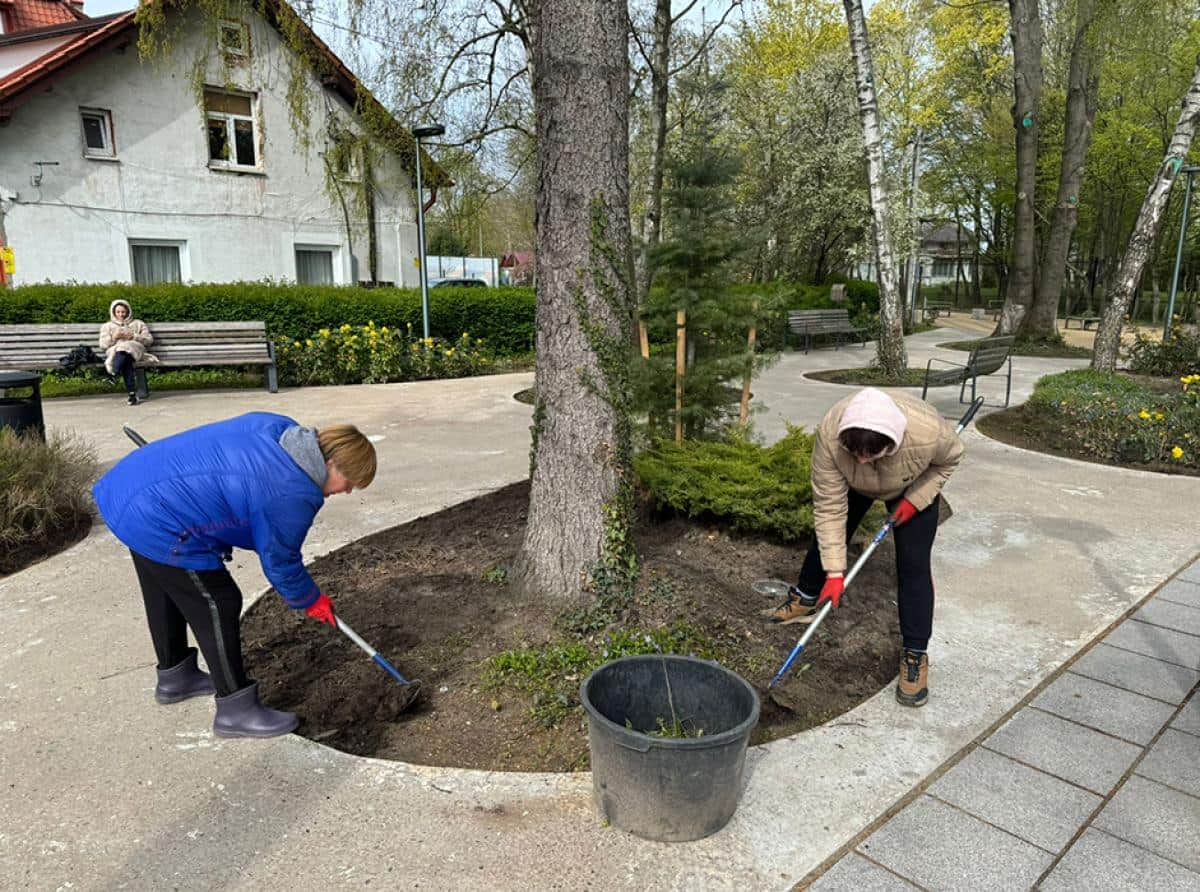 Фоторепортаж с городского субботника