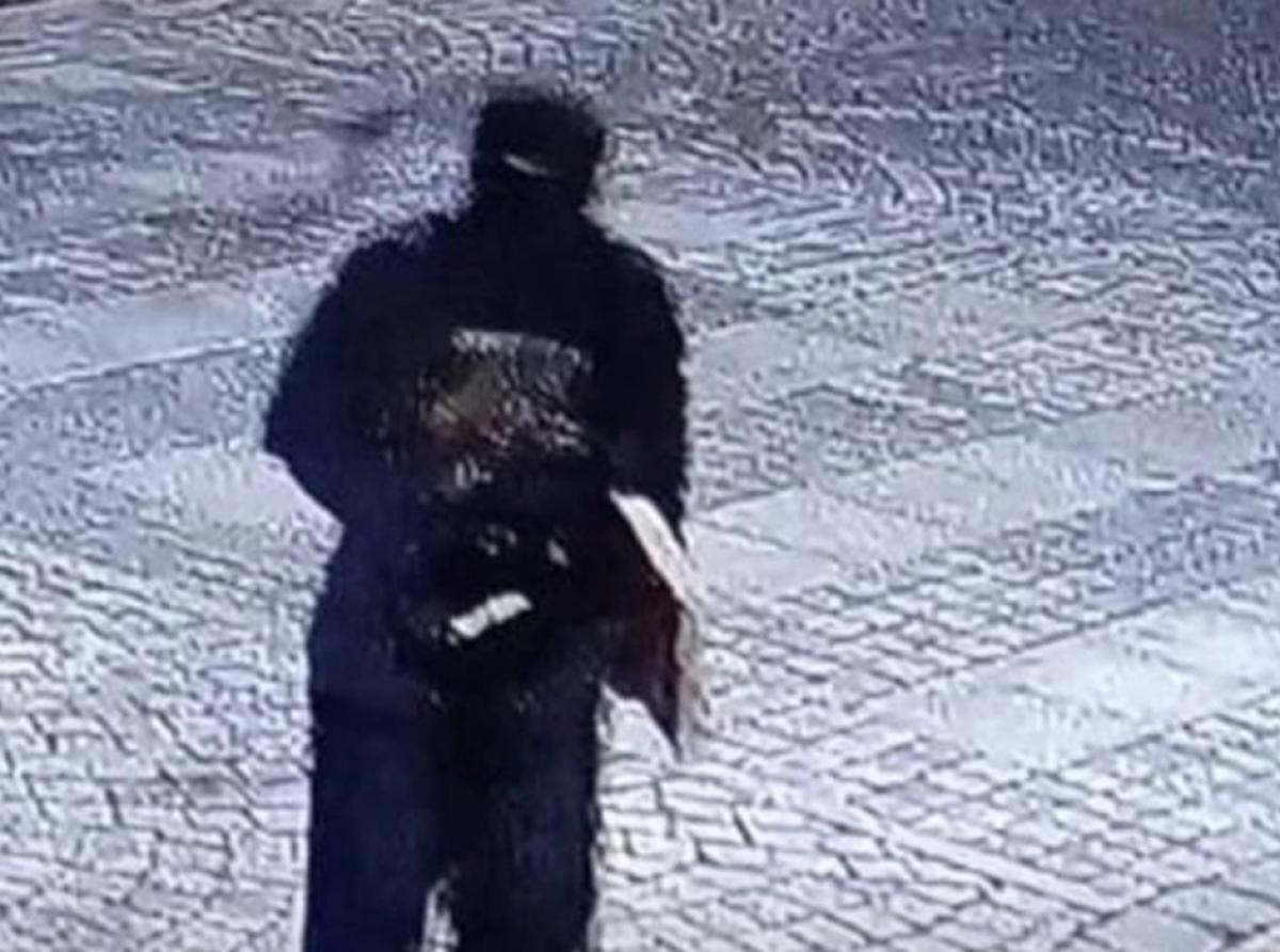Помогите найти вандалов!
