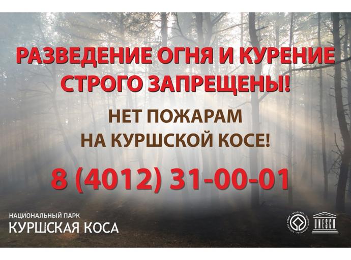 Противопожарный сезон – 2025