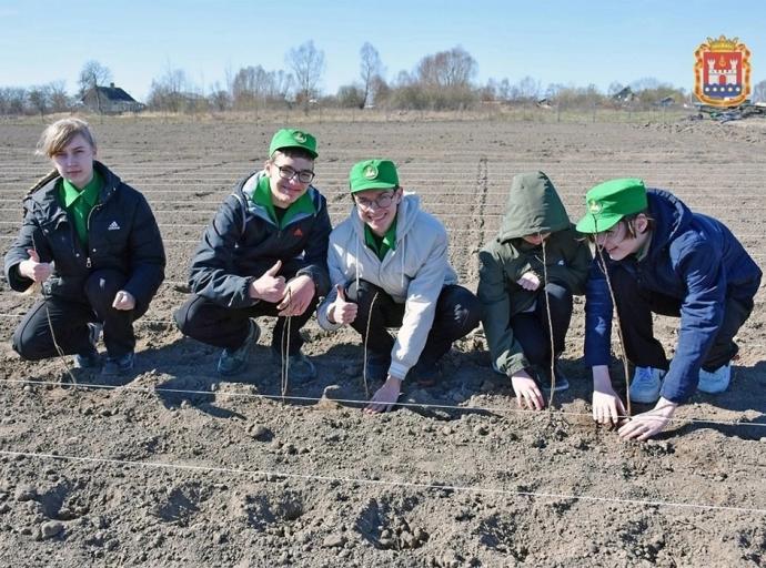 Ученики агроклассов Калининградской области заложили облепиховый сад под Зеленоградском