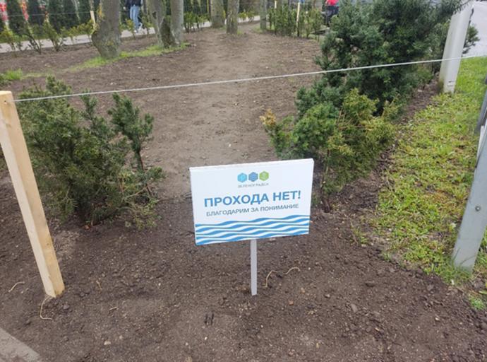 МАУ «Озеленитель» обновили 552 квадратных метра газонов