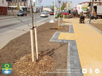 Обустройство новой зоны отдыха с каскадным водопадом на улице Тургенева в Зеленоградске вышло на финишную прямую