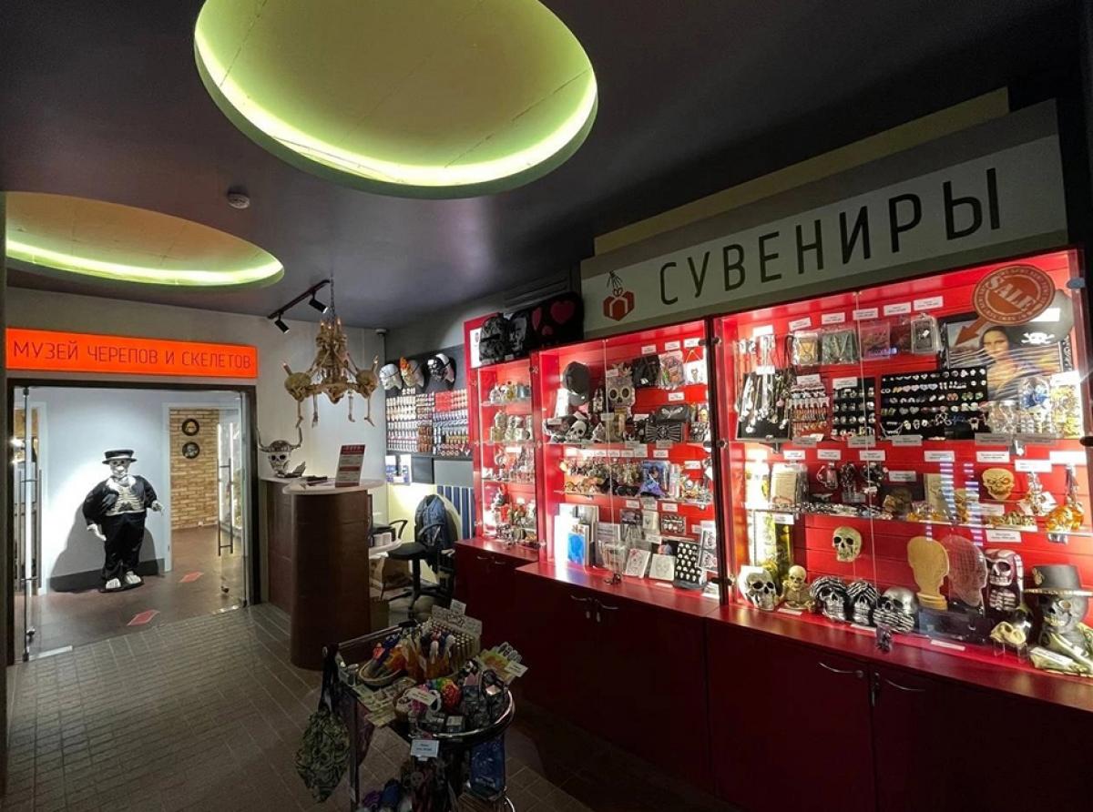 В Зеленоградске после ремонта открыт Музей Черепов и Скелетов (МЧС)