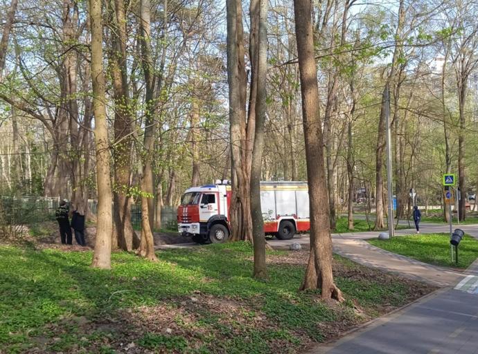 Зеленоградцы просили разобраться с возгоранием контейнера на кладбище