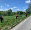 Борьба с борщевиком Сосновского