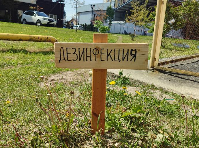 Спасти газон любой ценой