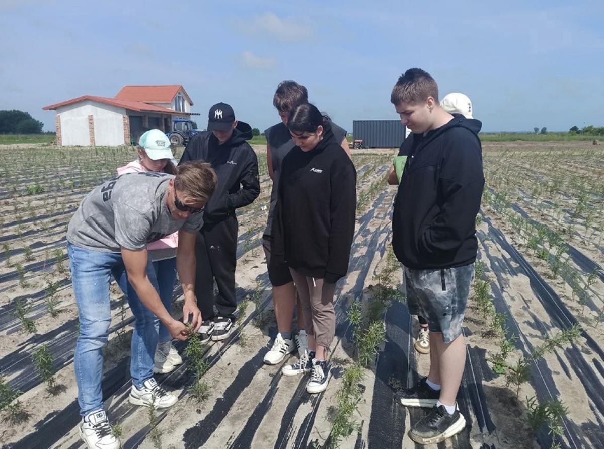 Старшеклассники школы поселка Мельниково приняли участие в проекте «Агролето»