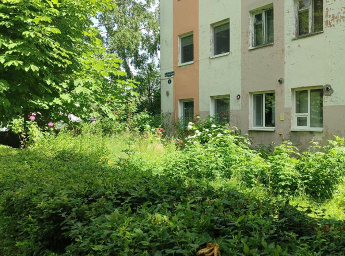 «Курортный дозор» проверил, как в зеленоградских дворах косят газоны