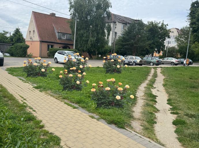 О чём говорили на аппаратном совещании в администрации Зеленоградского округа 15 июля