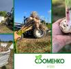 Зеленоградский фермер собрал рекордный урожай чеснока