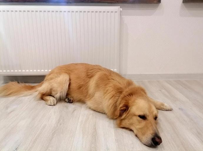 С 30 сентября в Зеленоградском округе начинают отапливать социальные объекты муниципалитета