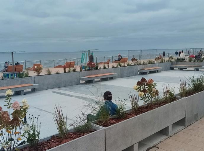 Зеленоградские озеленители завершили озеленение парклета