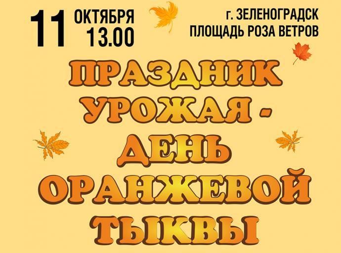 Праздник урожая — День оранжевой тыквы!