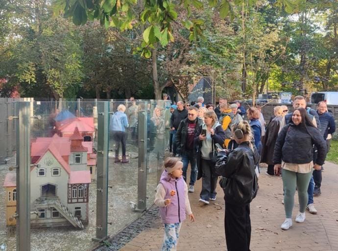 Переноса котофейни не будет