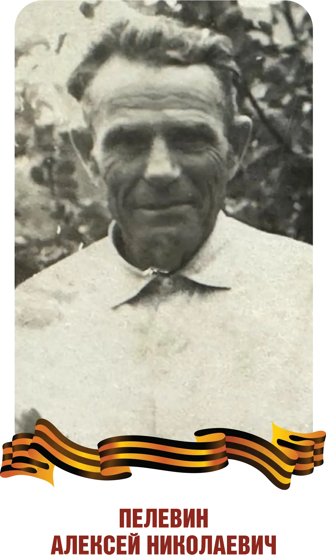 This image for Image Layouts addon