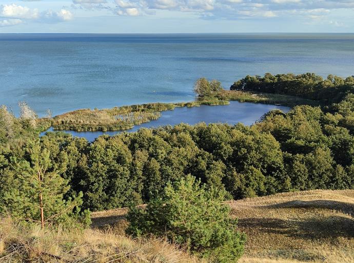 Удивить и заинтересовать